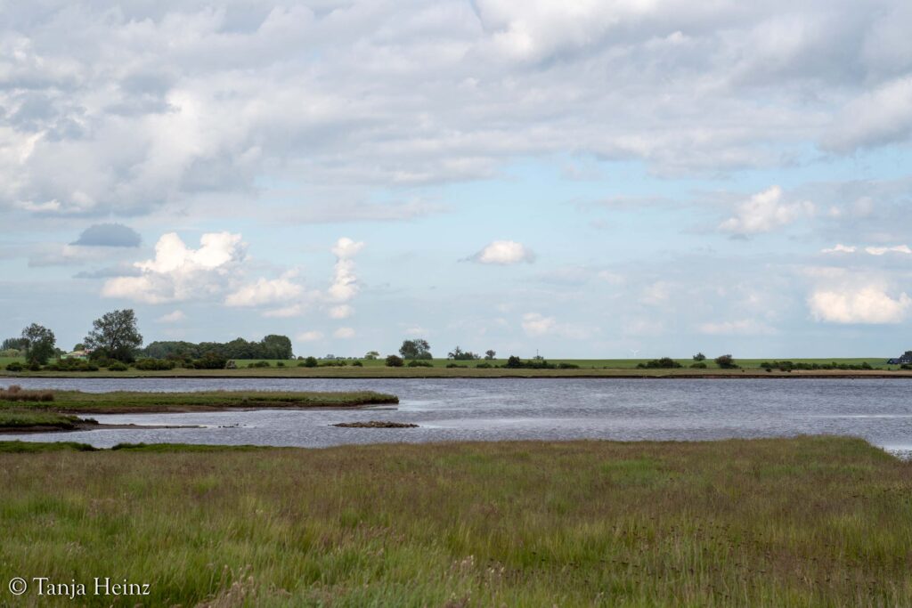Island of Poel