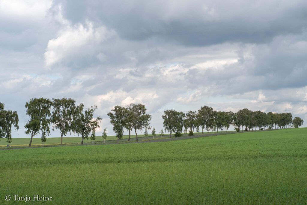 Island of Poel