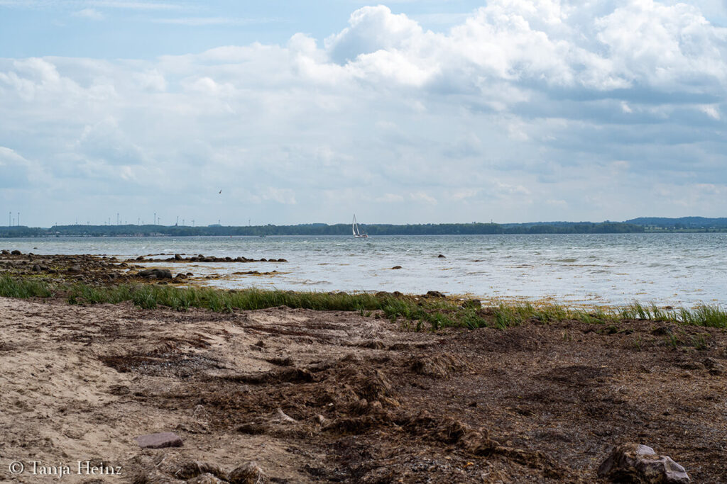 Beach on the island of Poel