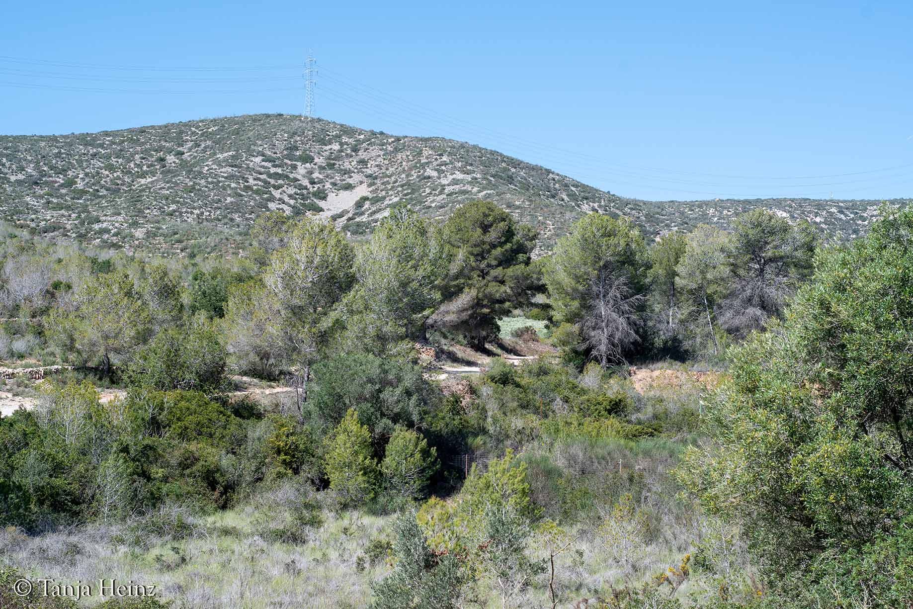 Vilanova i la Geltrú