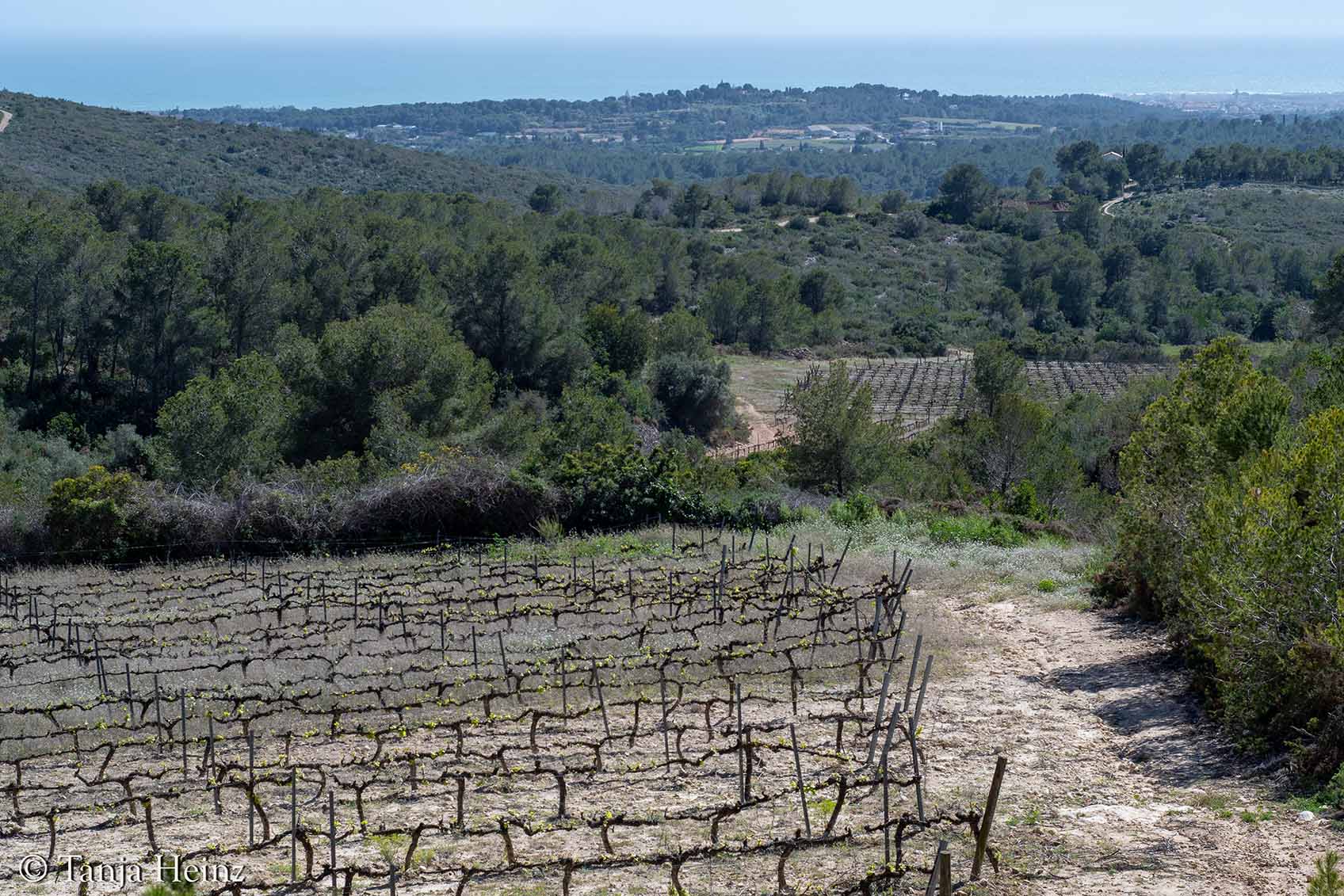 Vilanova i la Geltrú