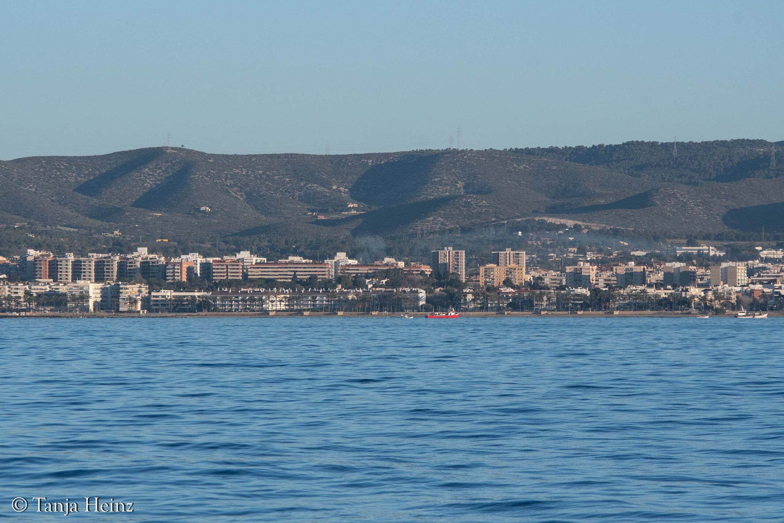 Finnwale vor Spaniens Küsten