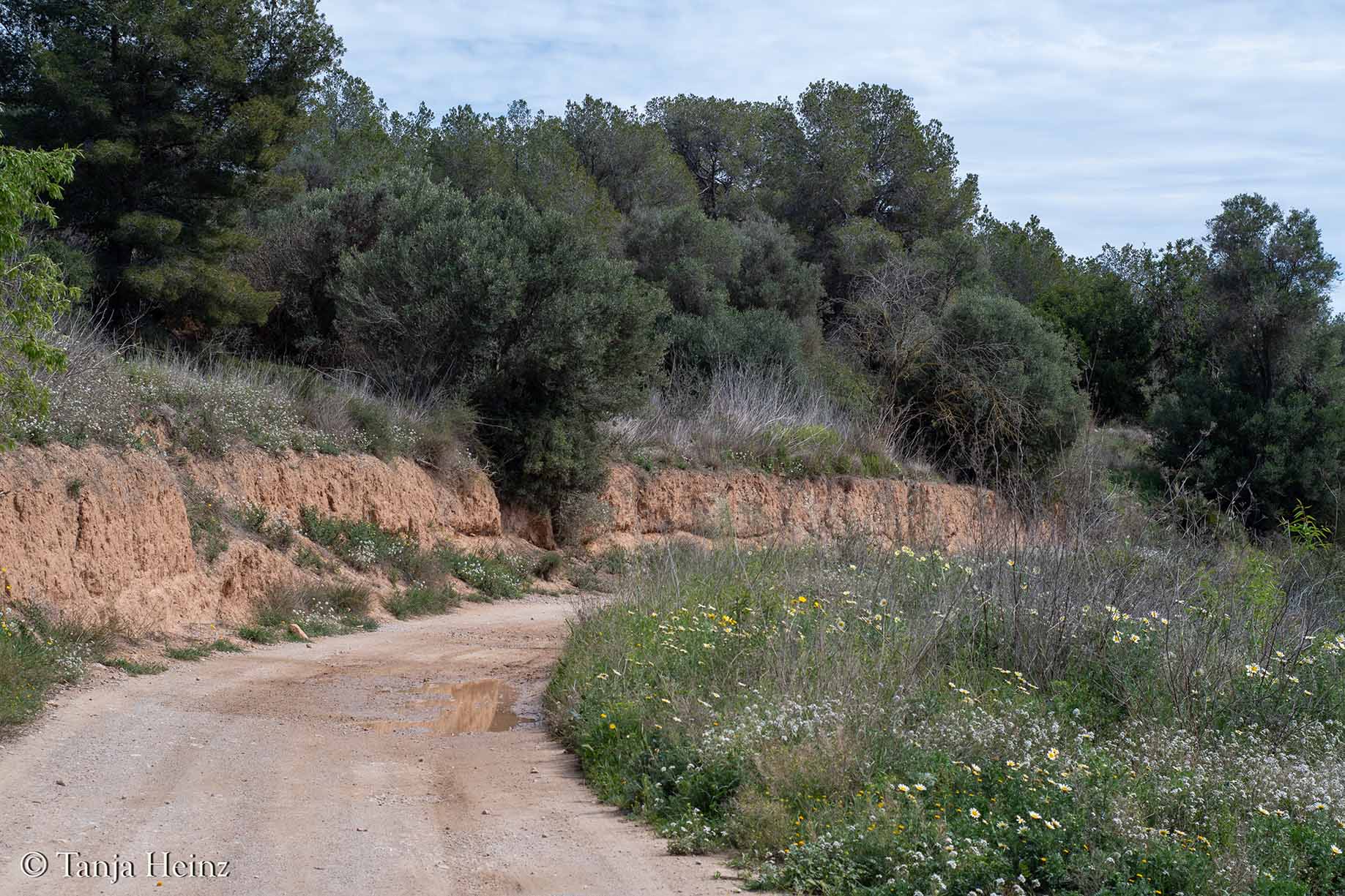 Vilanova i la Geltrú