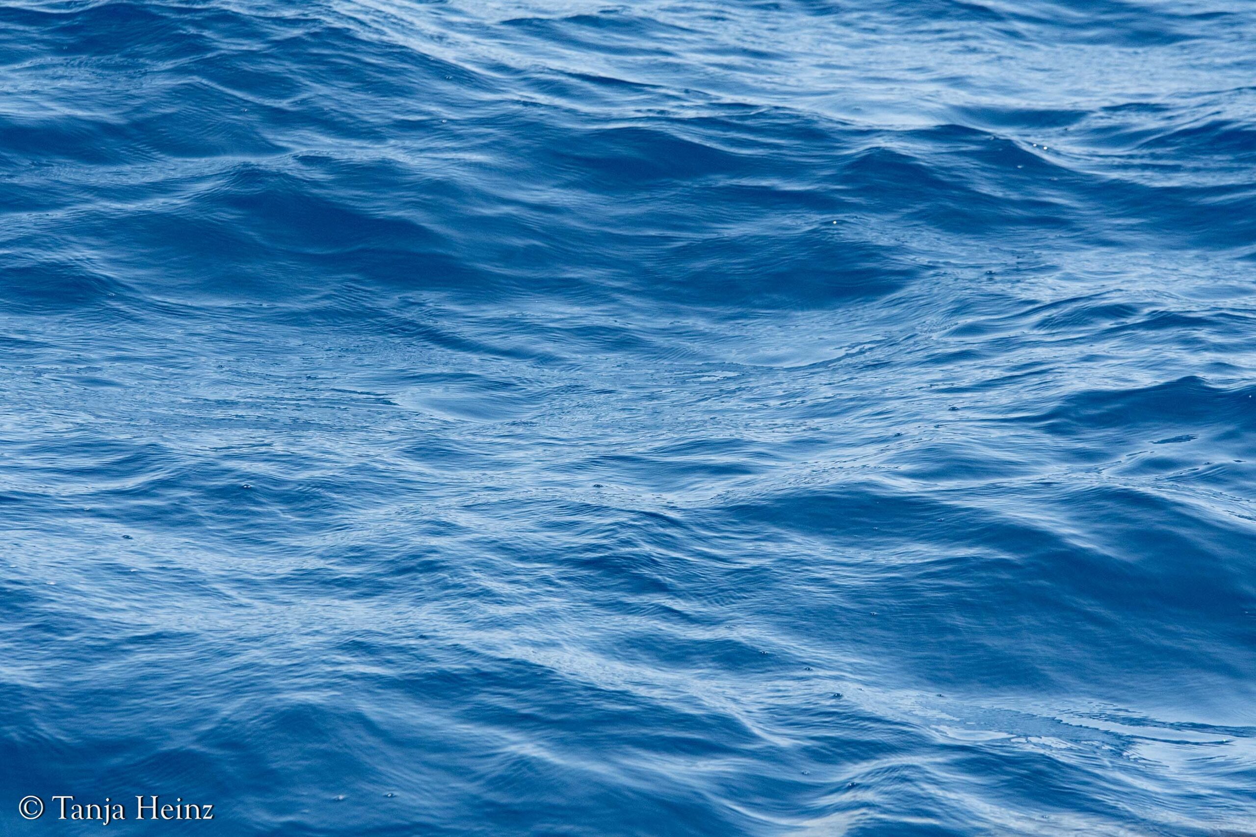 Mediterranean Sea