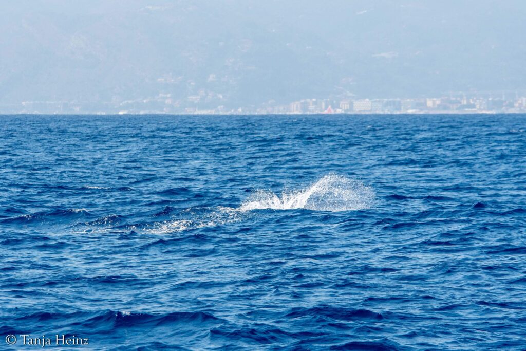 Mittelmeer