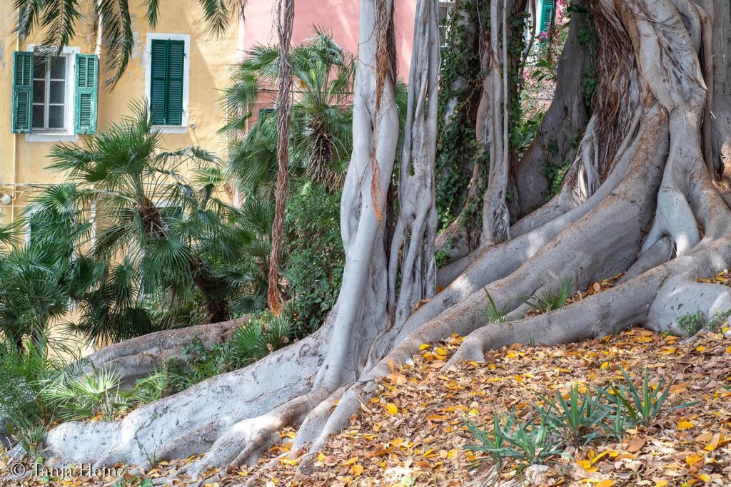 Sanremo, Italien