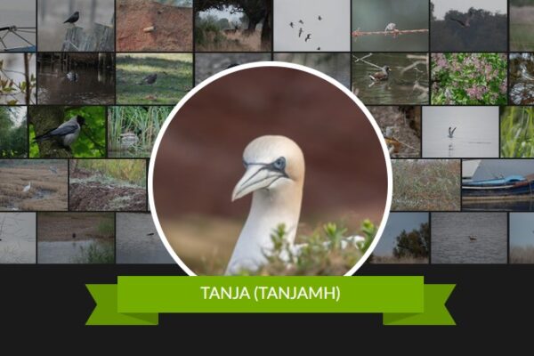 iNaturalist-Jahr 2025